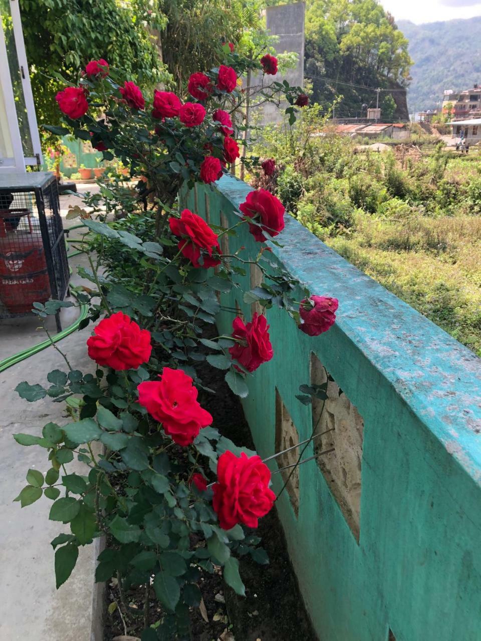 Happy Sedi Lodge Pokhara Zewnętrze zdjęcie
